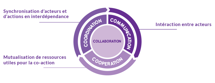 schéma organisation collaborative