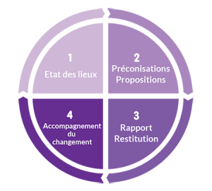 schema-audit