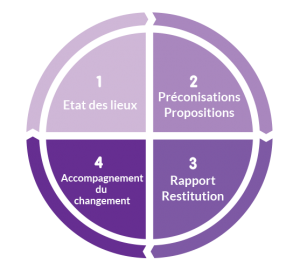 schema-audit